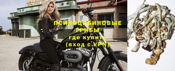 СК Заводоуковск