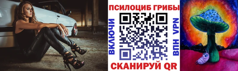 Купить закладки  Электроугли  Псилоцибиновые грибы Psilocybine cubensis 